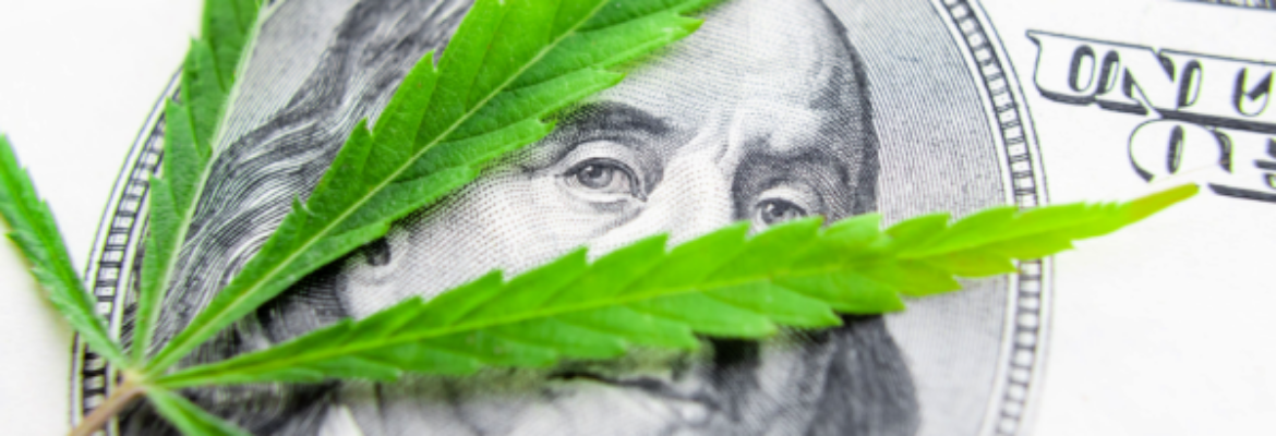 Shutterstock_1383561023