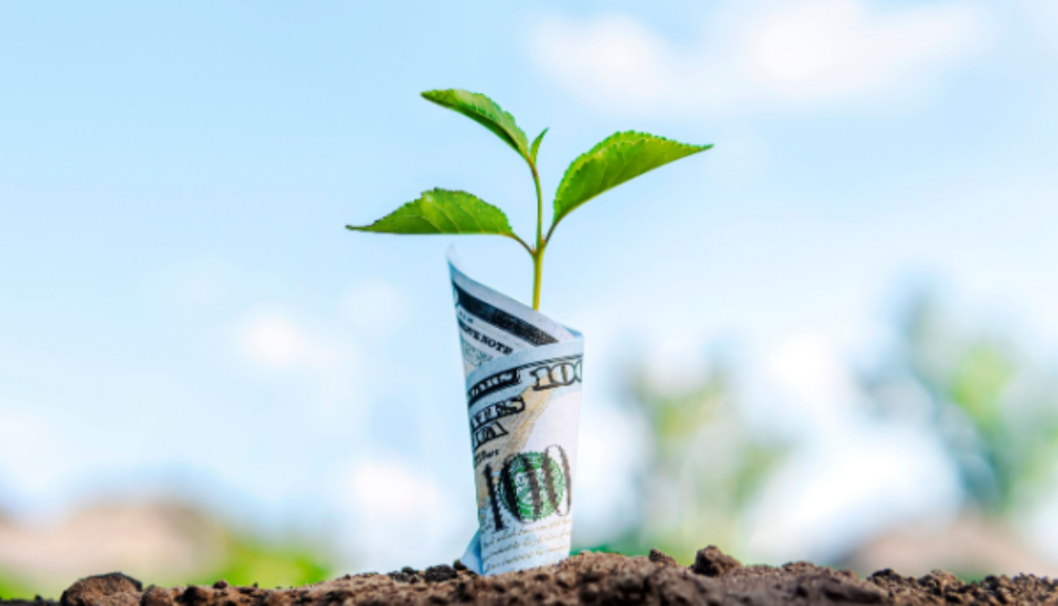 Shutterstock_2024304881 (1)