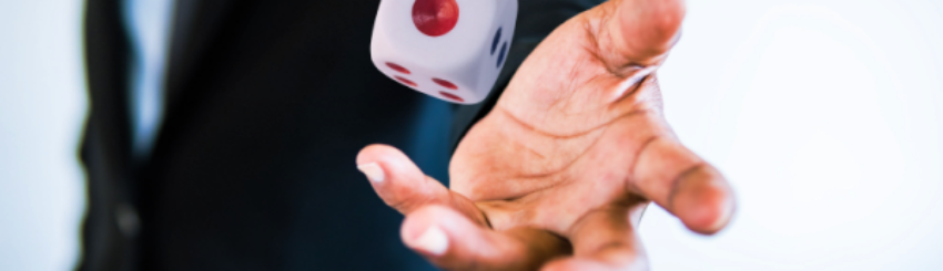 Shutterstock_2079071392