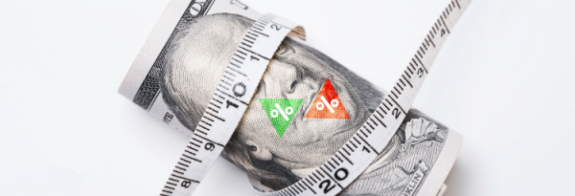 Shutterstock_2306211825