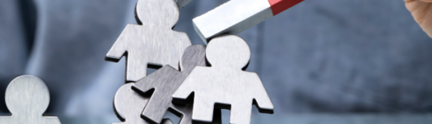 Shutterstock_2355974387