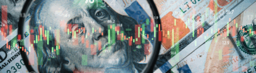 Shutterstock_2362943955