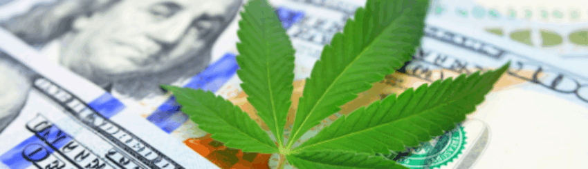 Shutterstock_2444490957