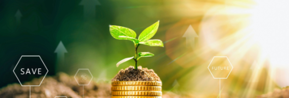 Shutterstock_2459747541 (2)