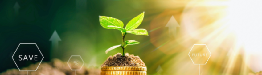 Shutterstock_2459747541 (2)