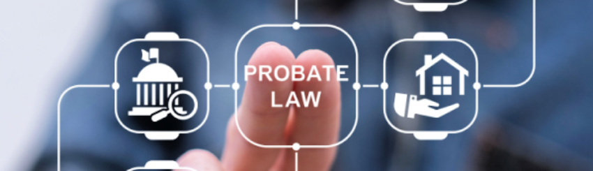 Shutterstock_2493011795