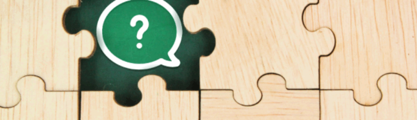 Shutterstock_2493063767