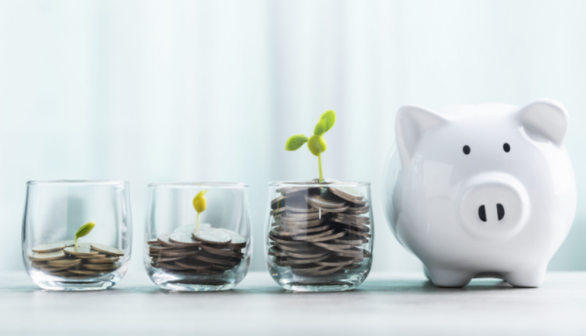 Shutterstock_2513476579