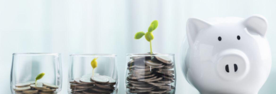 Shutterstock_2513476579