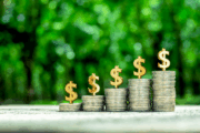 Shutterstock_2640175323