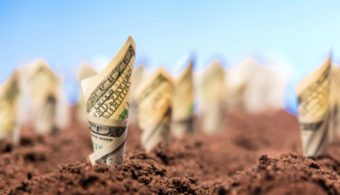 Shutterstock_267756107