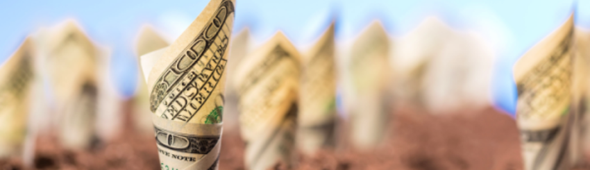 Shutterstock_267756107